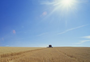 Eval�an limitar el uso de ciertos biocombustibles
